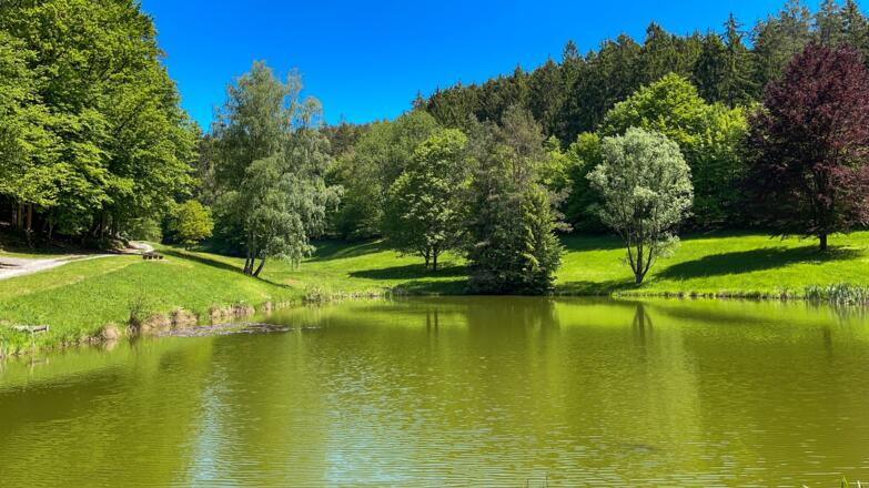 Waldsee Heimbuchenthal