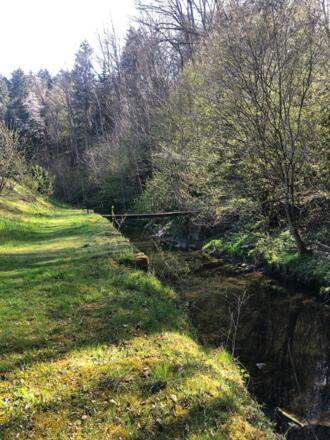 Wallfahrtsweg Maria Brunnenthal 3