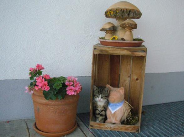 Na, wer setzt sich denn da in unsere Deko?