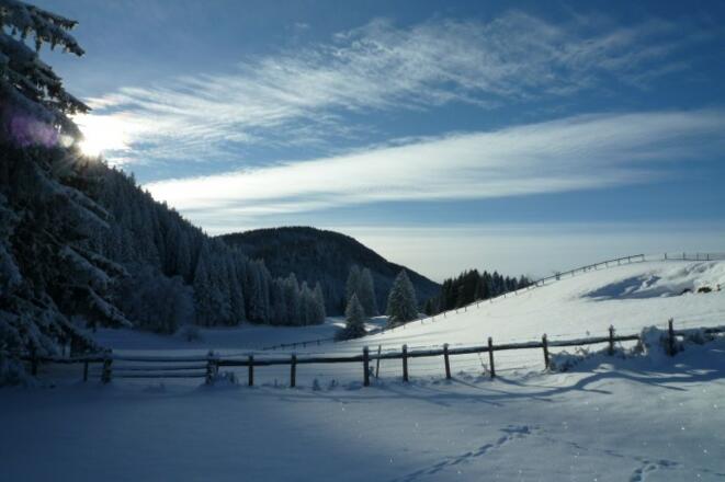 Winterlandschaft