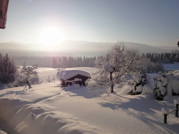Im Winter