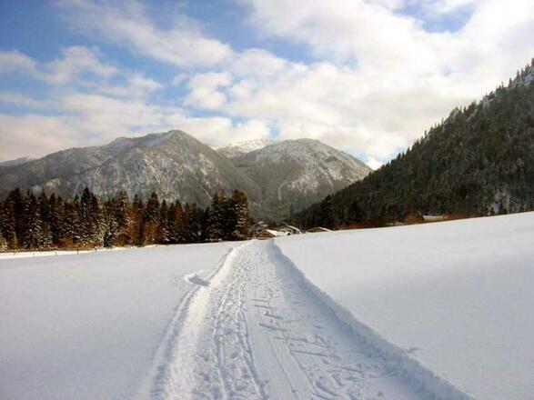 Winter in Fischhausen