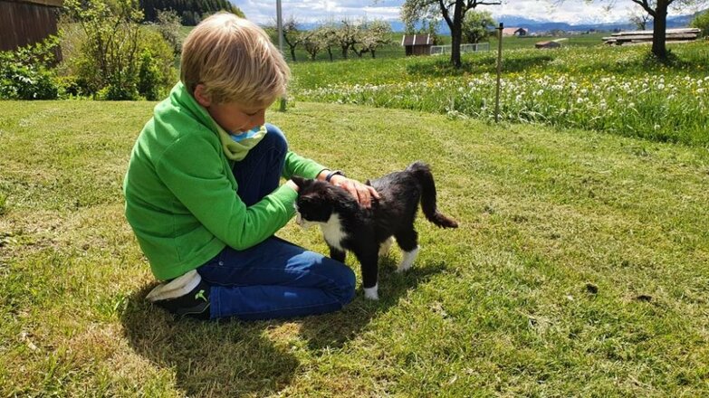 whatsappimage2021-05-21at12.43.3711