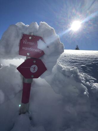 Winterwandern