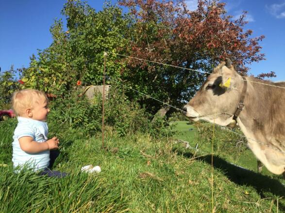 Unsere Mitbewohner im Sommer