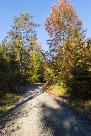 Von der Abzweigung aus geht es langsam bergwärts