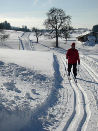 Wintersport Langlauf