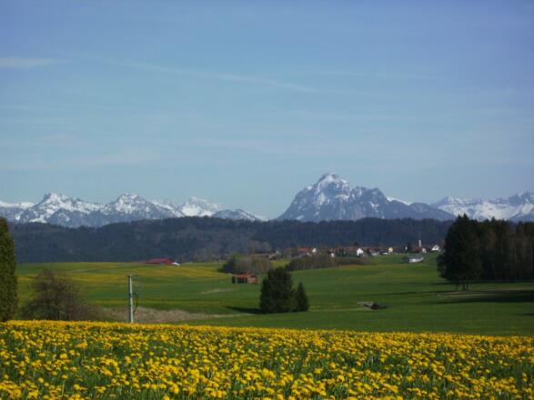 Aussicht im Frühling