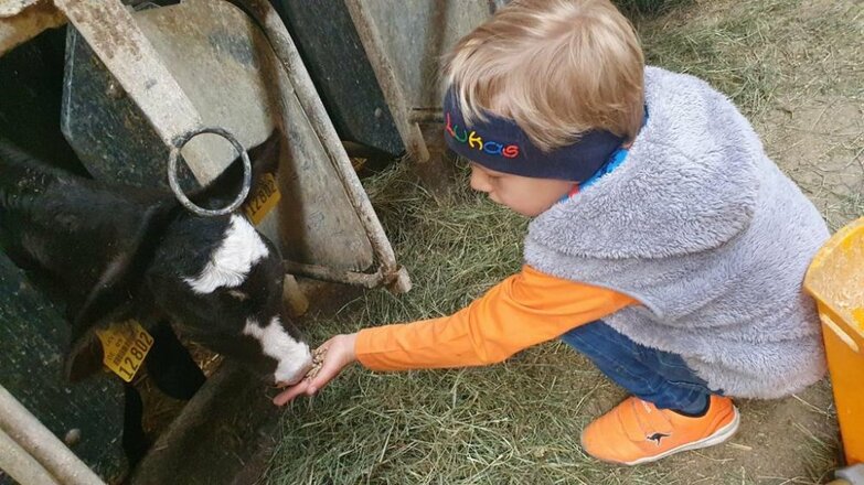 whatsappimage2021-05-21at12.43.3713