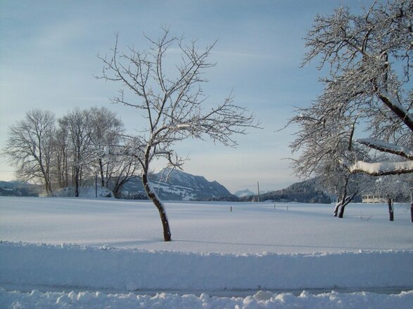 Im Winter