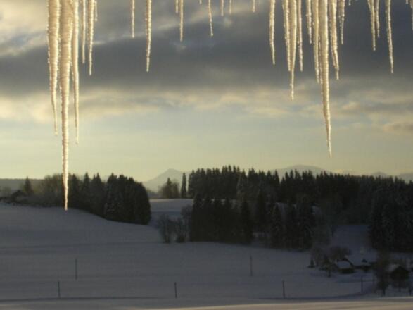 Winterlicher Ausblick