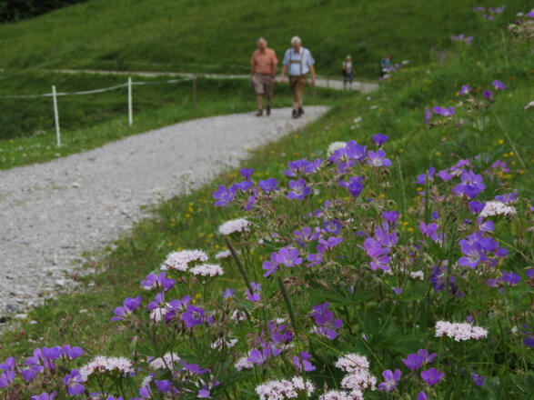 Eine Wanderung im Allgäu