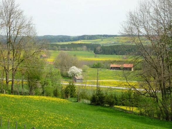 Mindeltal