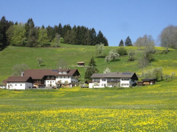 Unser Anwesen im Fruehling