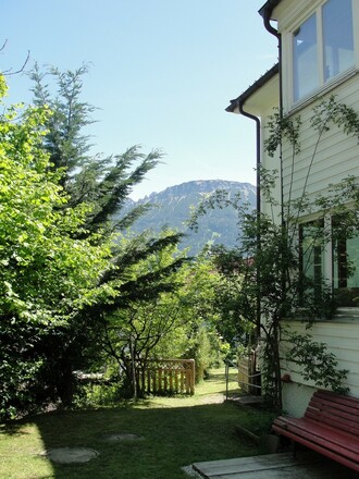 Blick in den Garten