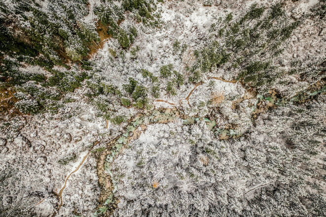 Der Zauberwald von oben