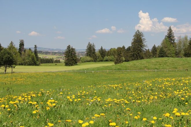 Natur pur gleich hinter dem Haus