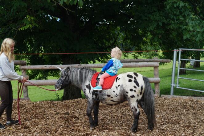 ponyreiten