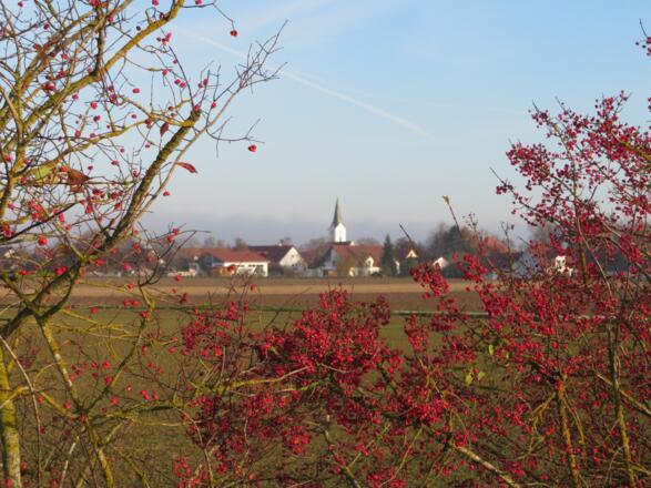 Auf dem Fürstenweg nach Volkmannsdorf mit Blick auf die Kirche St. Laurentius