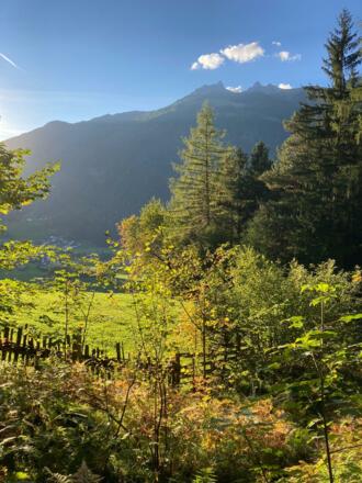 IMG-20211001-WA0008 (002)