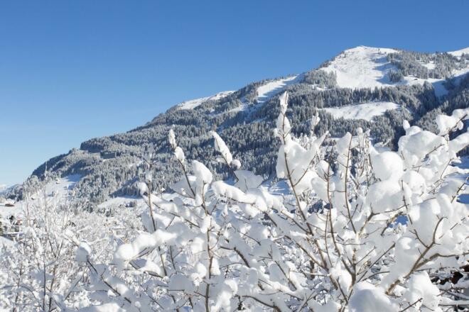 Franky Dezember 2017 316 (Large)