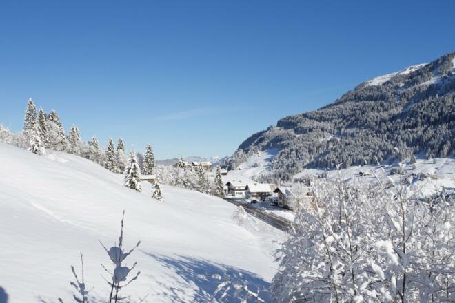 Franky Dezember 2017 315 (Large)