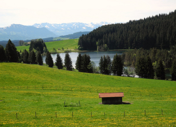 Eschacher Weiher