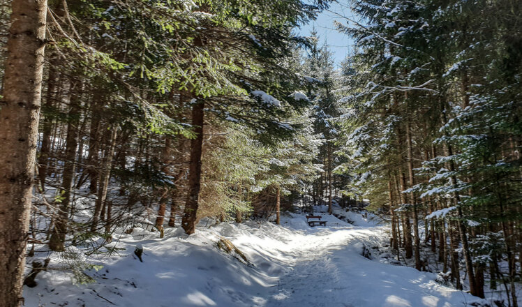 Winterwandern auf dem Carl-von-Linde-.Weg