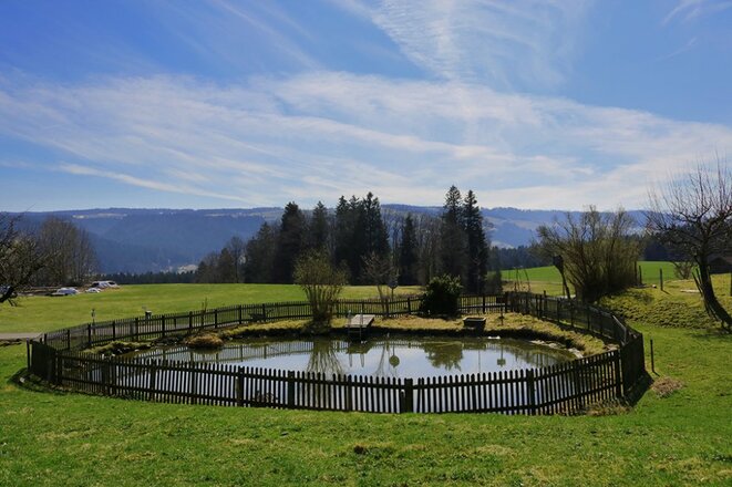 Gästehaus Baldauf - Weiher