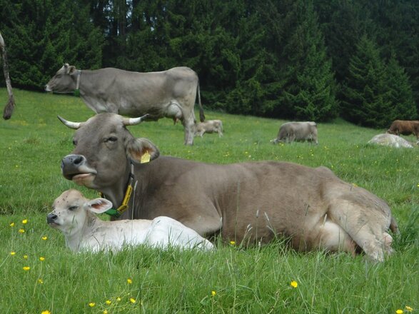 Mmmuh, uns auch!