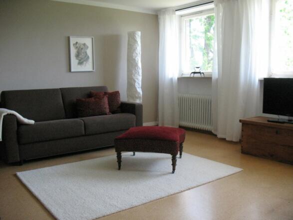 Sofa_und_LED-TV