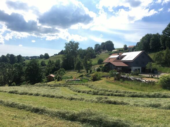FW Böller Ansicht Haus
