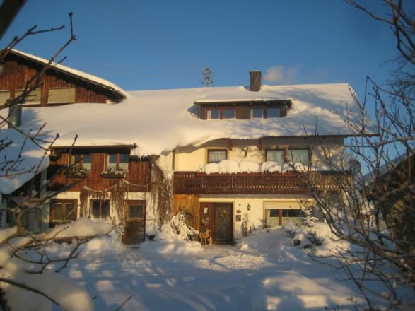 Eingebettet im Schnee