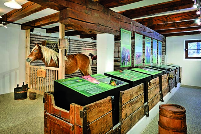 Noriker Pferdemuseum