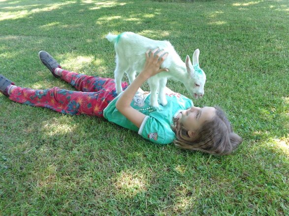 Mensch &amp; Tier auf Du &amp; Du