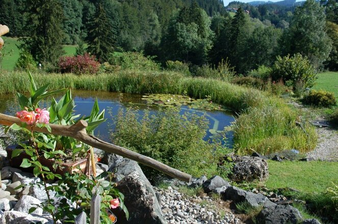 teich