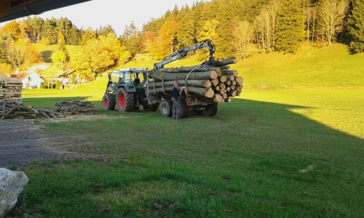 Forstarbeiten