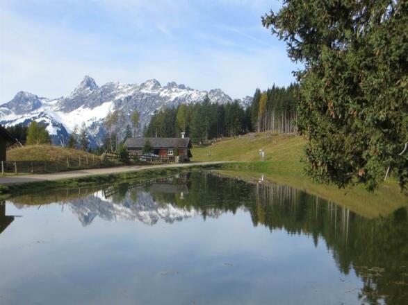 Sommer am Bartholomäberg