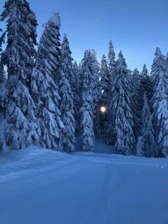Winterwandern