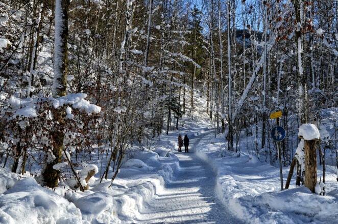 Winterwanderweg zum Malerwinkel