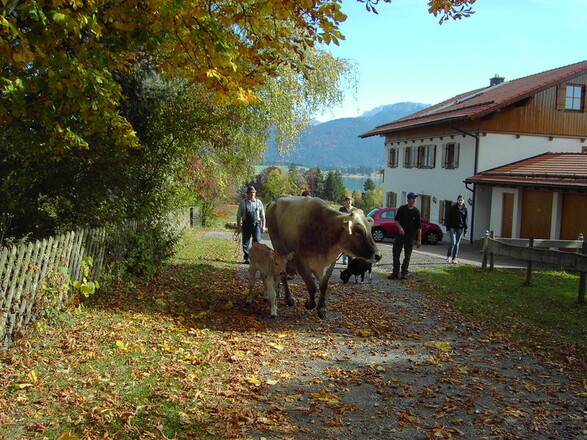 Seien Sie das nächste Mal auch dabei!