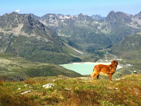 Blick auf Silvrettastausee