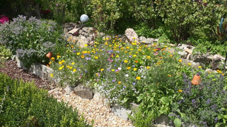 Blütenweiße für die Bienen