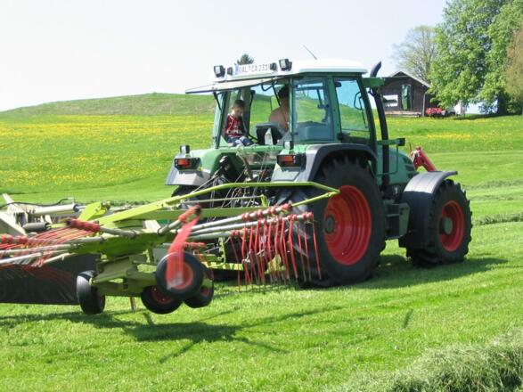 Genießen Sie das Landleben