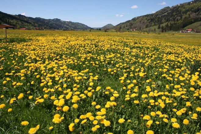 Blick aus unserer Saunalandschaft