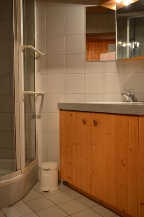 Fewo 1 "Alpenrose" Dusche/WC