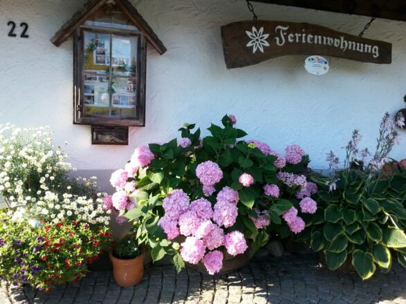 Hausansicht vorne