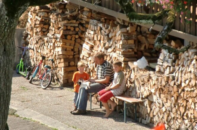 Katzenstreicheleinheiten