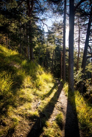 ein schöner Wanderweg