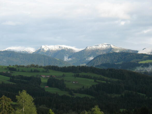 Der erste Schnee